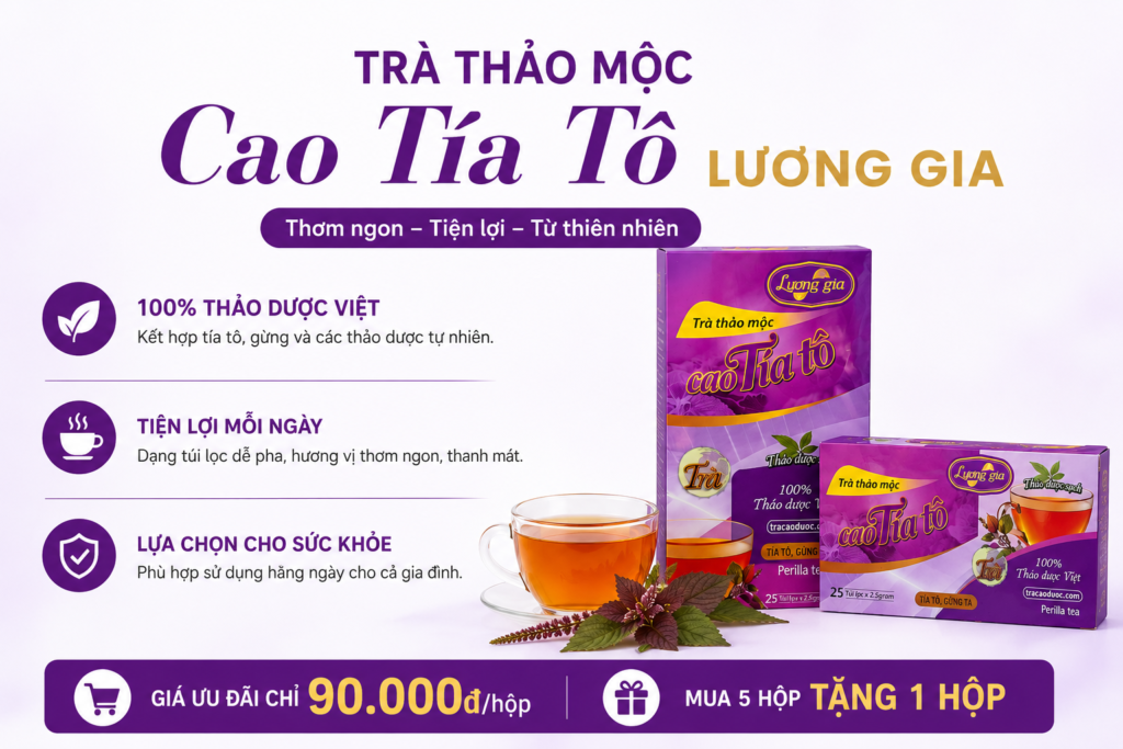 trà cao tía tô lương gia