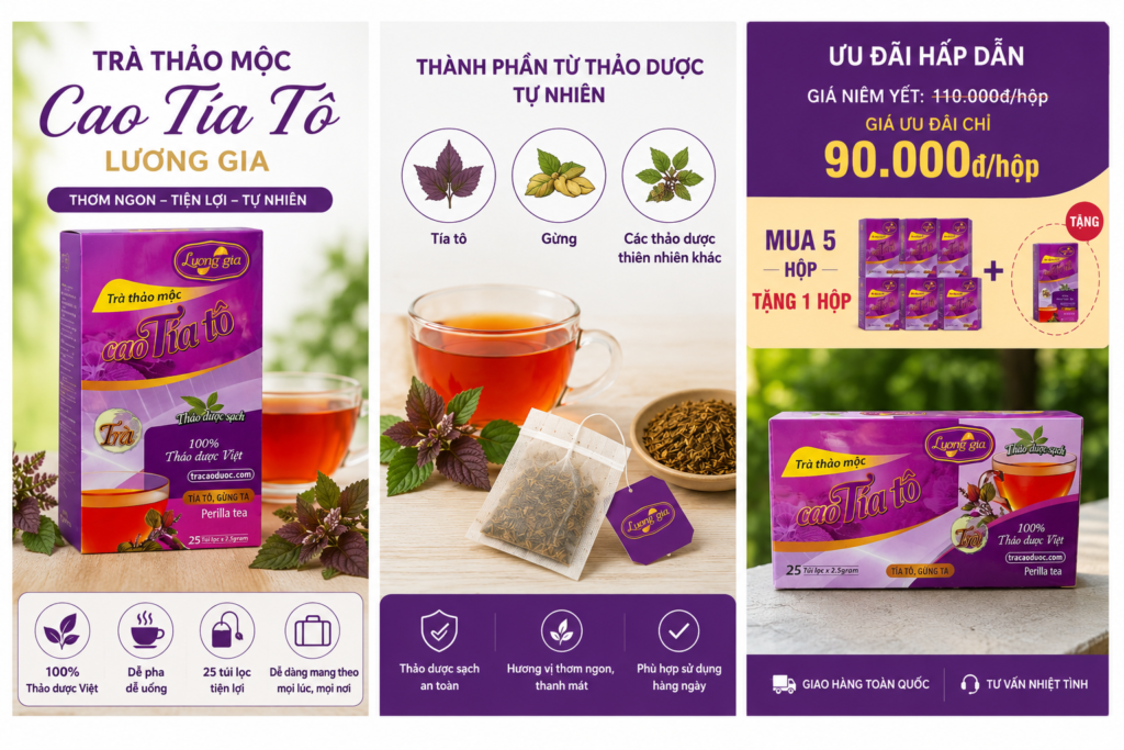 trà cao tía tô lương gia