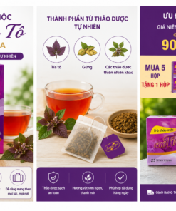 trà cao tía tô lương gia